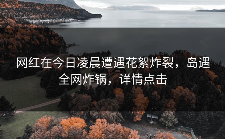 网红在今日凌晨遭遇花絮炸裂，岛遇全网炸锅，详情点击